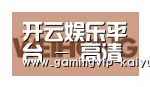开云真人合作伙伴三