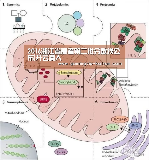 2016浙江省高考第二批分数线公布|开云真人(图1) 开云真人