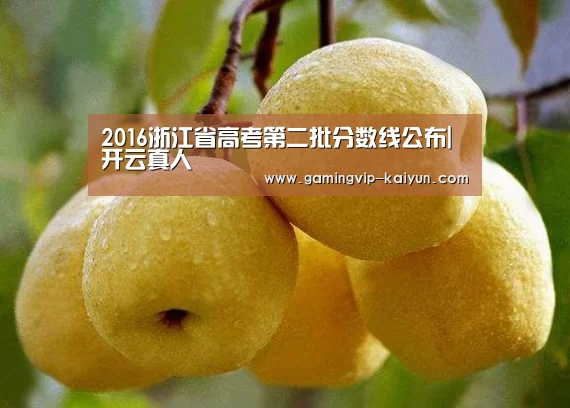 2016浙江省高考第二批分数线公布|开云真人(图2) 开云娱乐