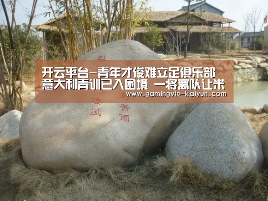 开云娱乐