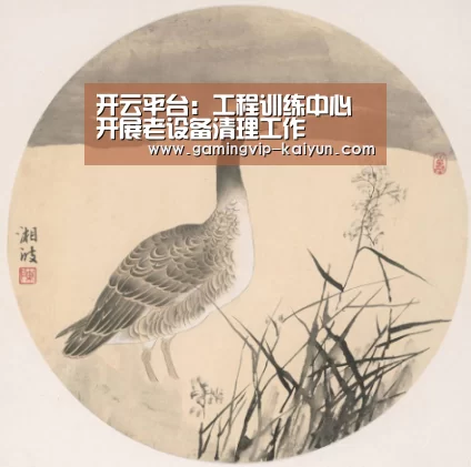 开云平台:工程训练中心开展老设备清理工作(图1) 开云真人