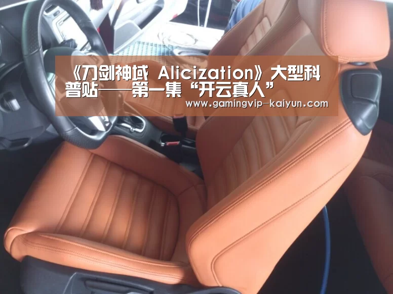 《刀剑神域 Alicization》大型科普贴——第一集“开云真人”(图2) 开云娱乐