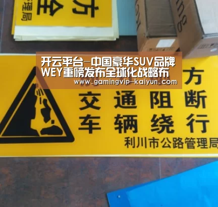 开云平台-中国豪华SUV品牌WEY重磅发布全球化战略布局(图2) 开云篮球