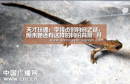 天才玩偶:李纯贞的身份之谜,原来她还有这样的身份背景-开云平台(图1) 开云真人
